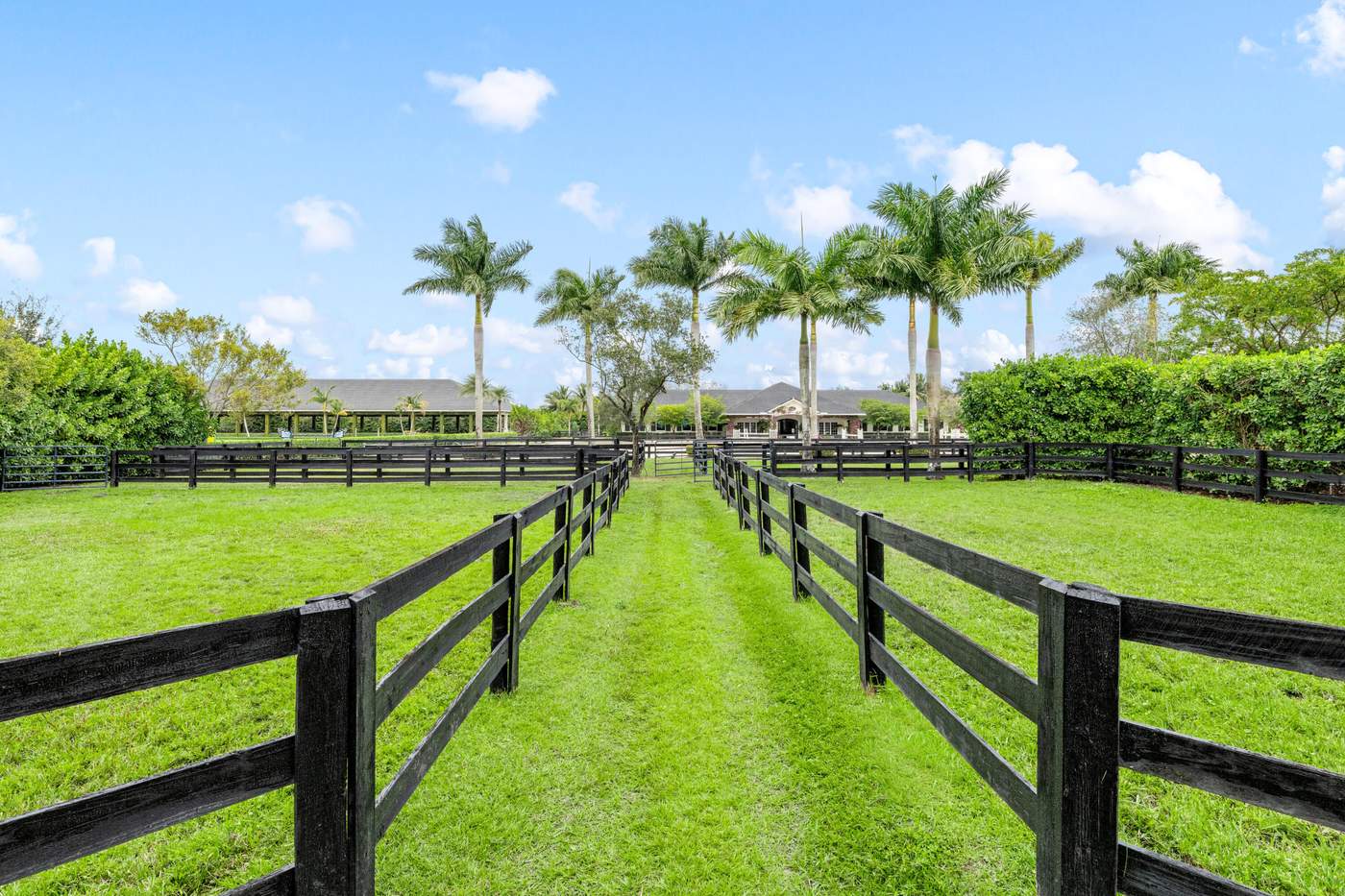 Golden Equestrian Stables